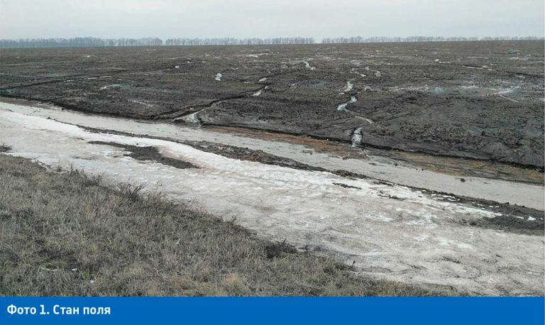 ЗЕМЛЯ МАЄ ДИХАТИ