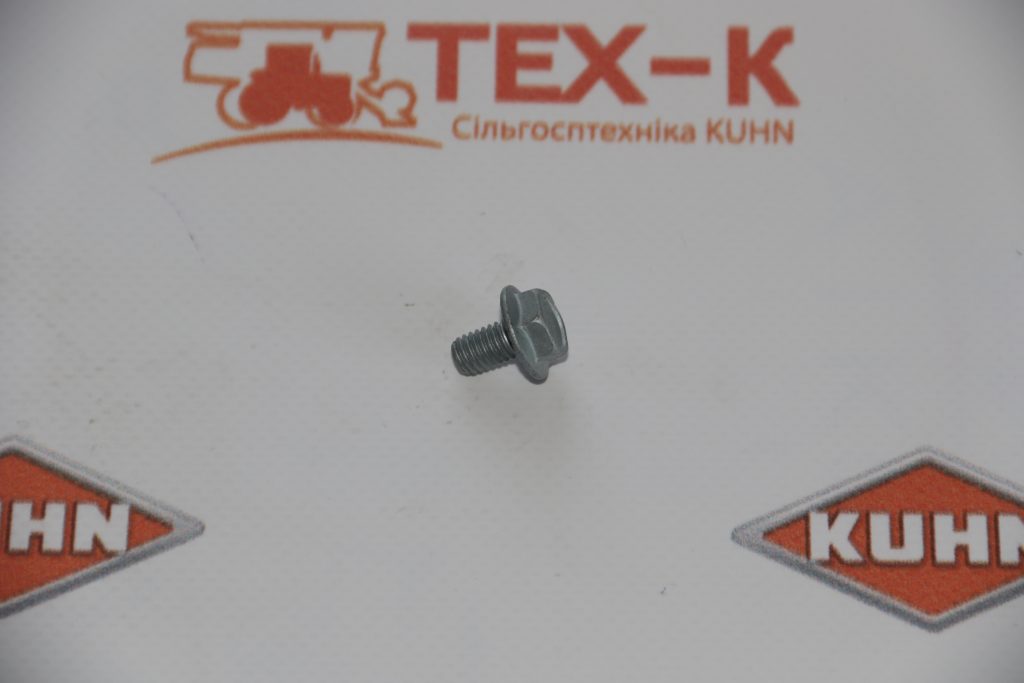 болт M 6X 10 90  металевий